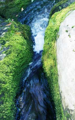 flow-yofa Flow is the key to jhe - photo by Daniel Lamonica